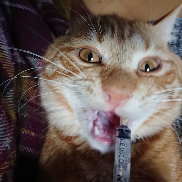 65e79ee6 8fff 4096 ae37 d5e179b6d826 1645616921853