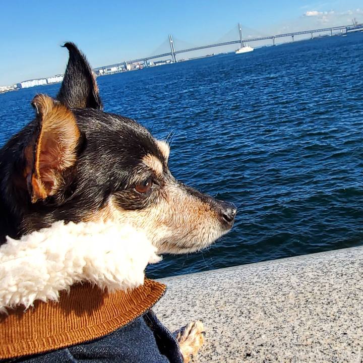 65e7aa2a d6a5 43a3 990b 940cacec32a2 1672742073635