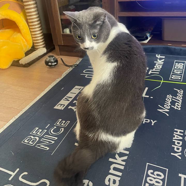 65e7ab79 53ea 45b2 bab3 469e67d77125 1696978702633