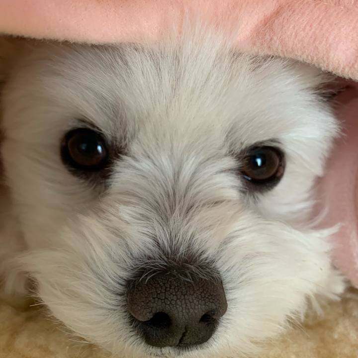 65e82c9f 71c0 49b9 ab79 20a2c48528cd 1581120387113