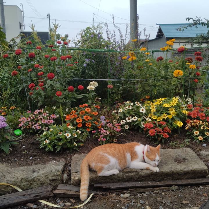 65e8909d a37c 4223 be06 7bf1be4c327d 1752530140827