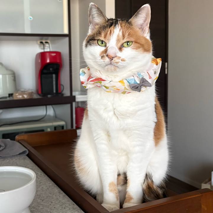 65e89f64 f914 4db8 8d1c e6b7b3c5ea2f 1769730017080