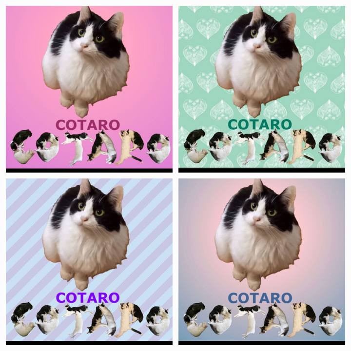 65e8bd54 c41d 463e bd7c 400dd4df752d 1668556751230