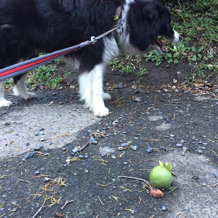 65e8ed22 c23b 4370 b921 cab7e8c377be 1565906516752