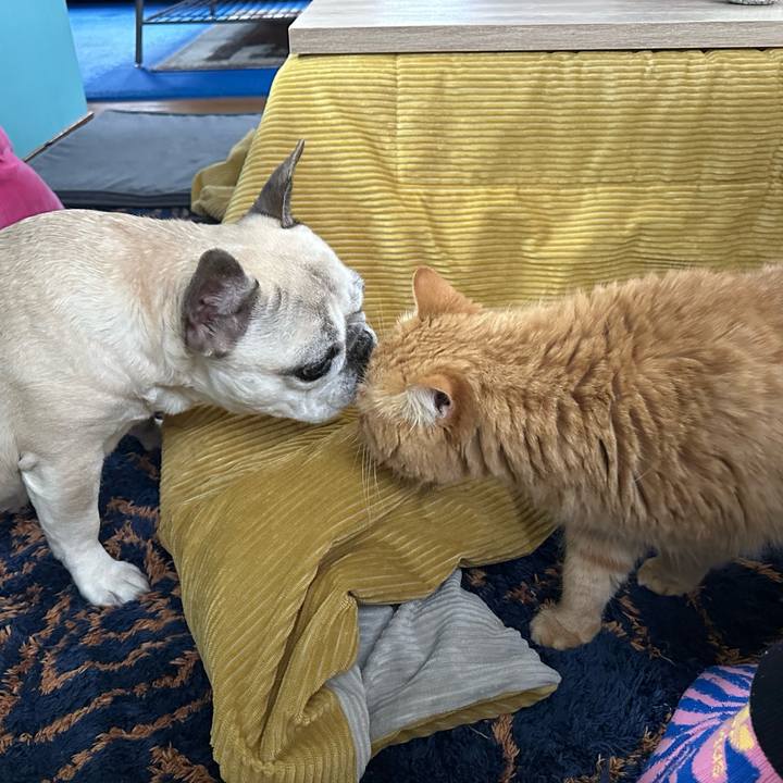 65e8fff5 b583 41a8 8160 69365ee158d9 1773971733728