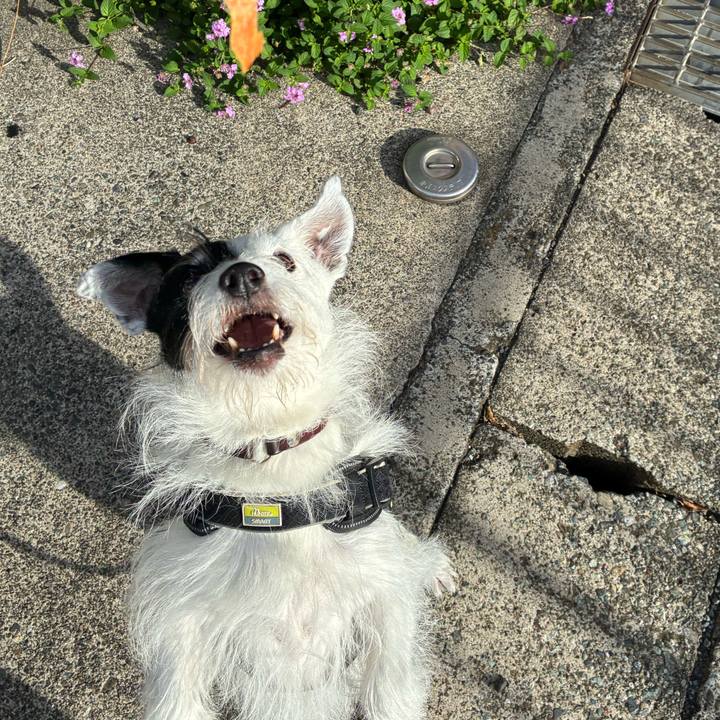 65e92023 7629 47d2 b580 023401bd9978 1759932207395