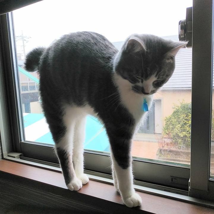 65e92b16 b9cd 4c56 a52d 5beae2b3da6e 1587274686344