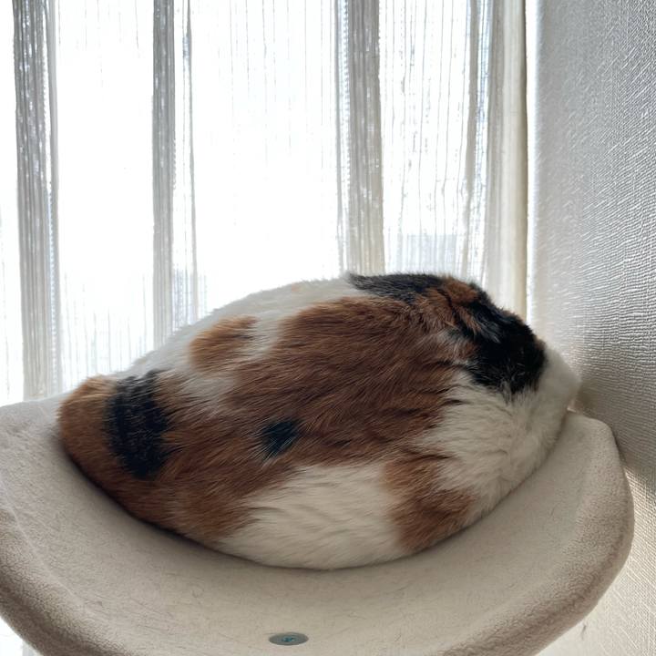 65e92cd2 128e 4e13 8998 657d07e4a460 1613282611819