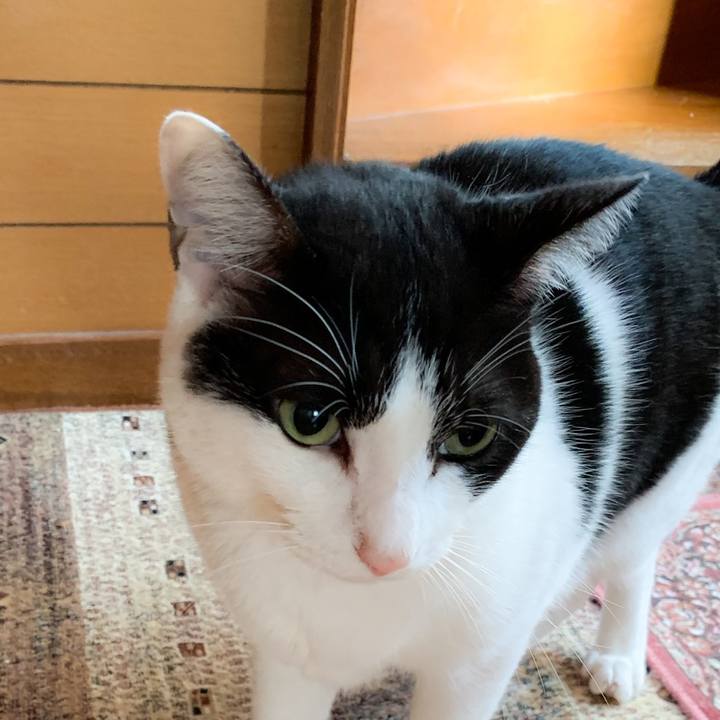 65e96243 b1e3 46cc adbd 4f98f4bef677 1572054617052