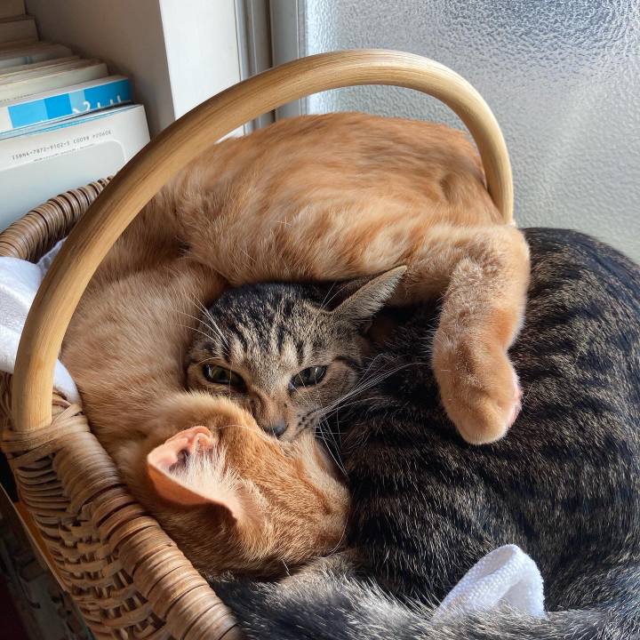 65e98b2e f080 4de8 a0d7 e20412287035 1671624160805