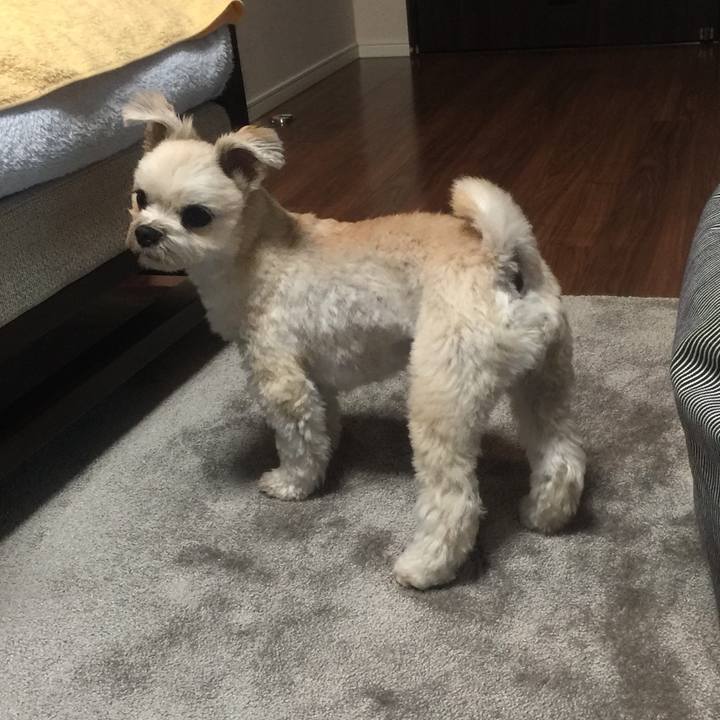 65e99292 8e2d 4bd9 8dae 238a69bf05be 1535105802410