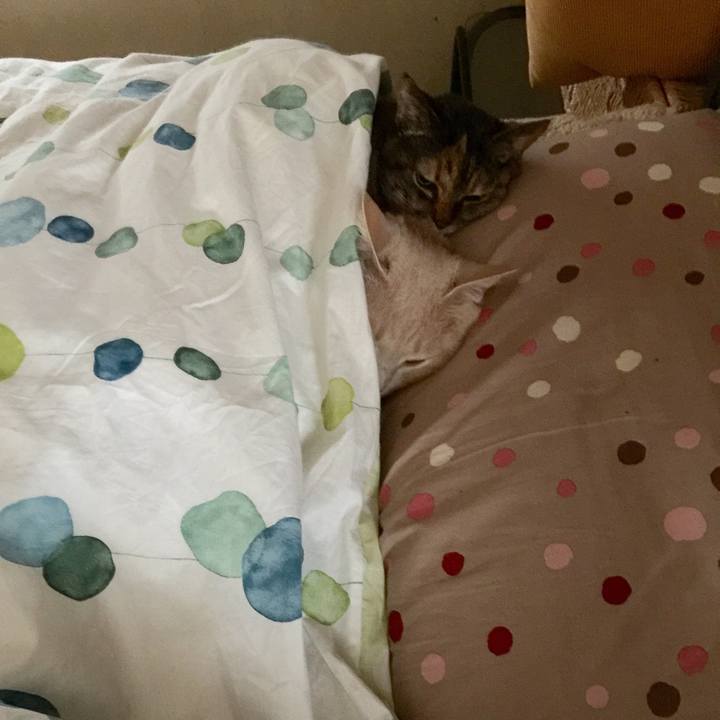 65e99489 f01f 4032 8376 cdb7b54d404c 1619737169150