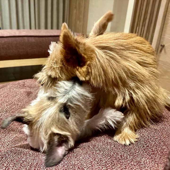 65e9a27d d529 4183 a81c 058300136925 1732981244900