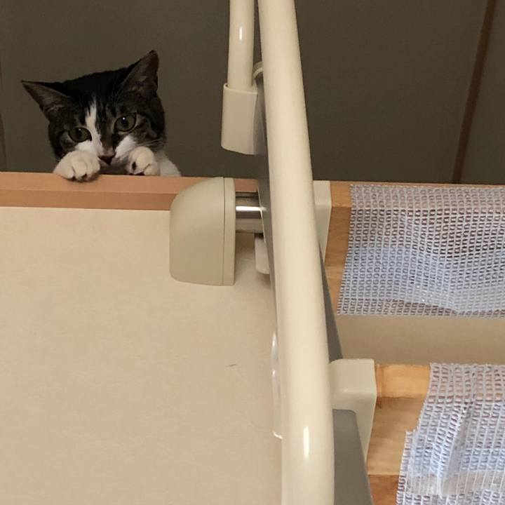 65e9ceac 4ebc 4a1b 89fc 96a259a5e52d 1531484177710