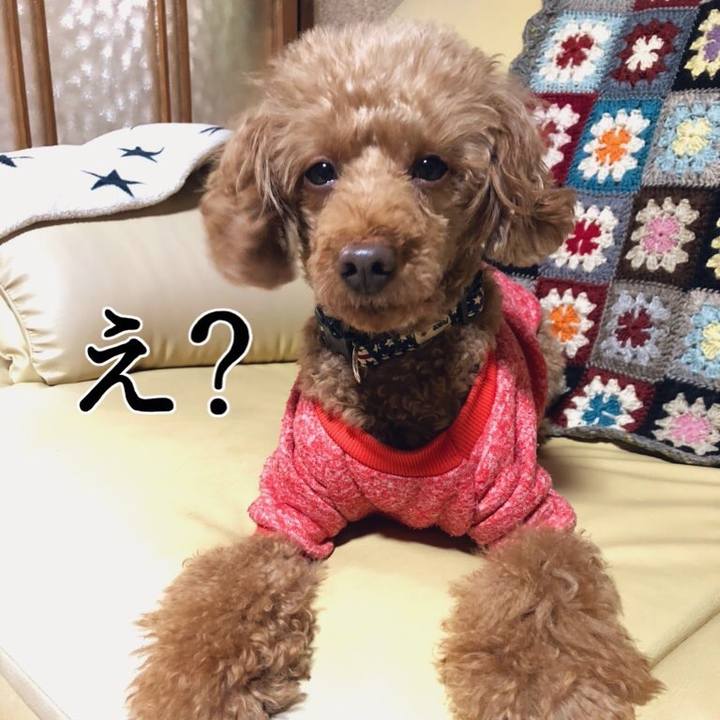 65e9d29e 0ddf 4b6c ac4b 77db8e2b402a 1611109548094