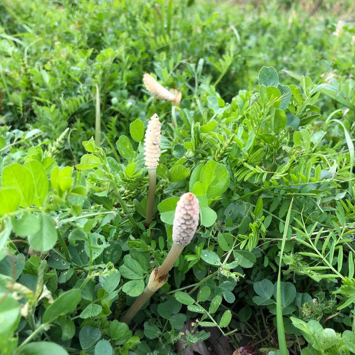 65e9ec6a af27 42e0 af85 3c7799bfbae7 1614131256462