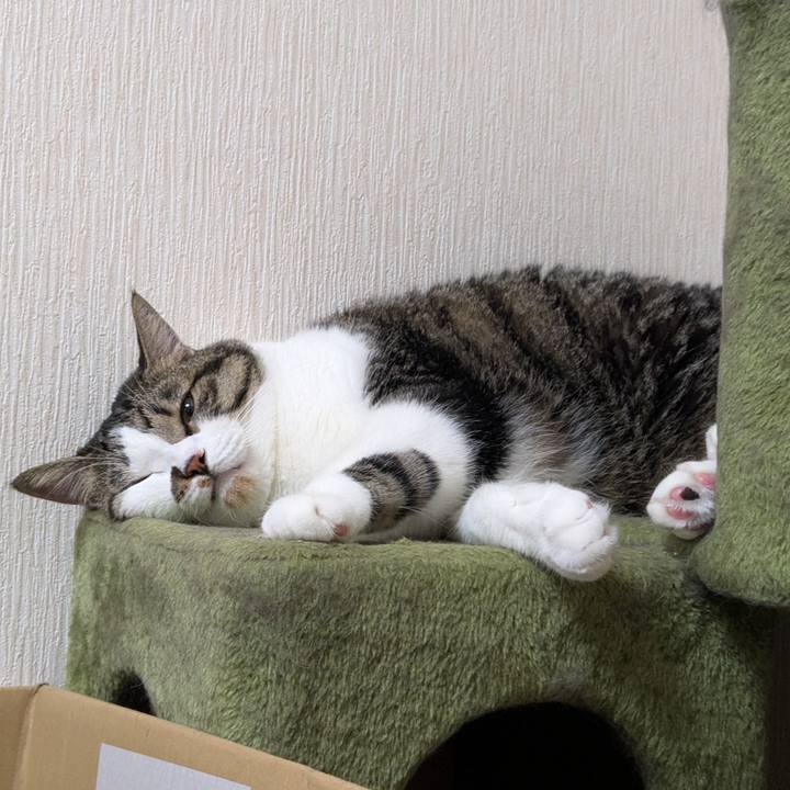 65e9f401 85c1 46ce b90e 97eed1435ed8 1755502077609