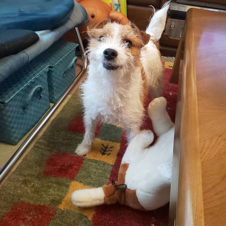 65e9fd7c baa4 4ec7 a3bf 083524ad9817 1616718419626