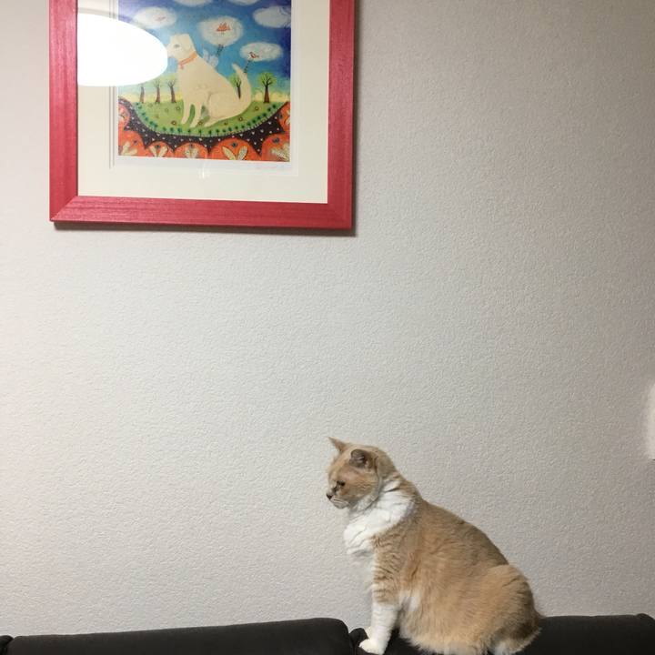 65ea1f44 c615 4a79 80b8 1d0c8f3fdc06 1535084473736