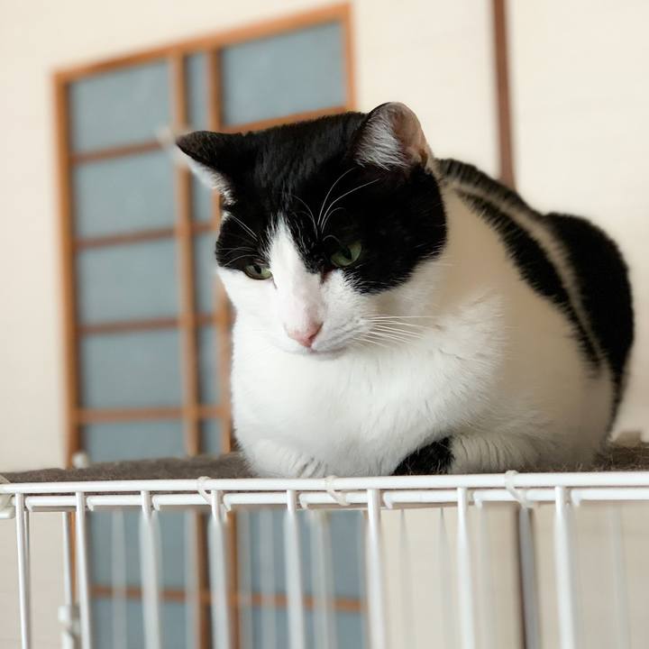 65ea2f88 b2c2 44bc 8119 041bd0d78219 1576978753859