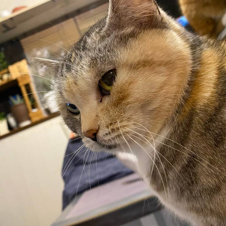 65ea8f00 d933 470e 84db d253e5646f7b 1648911690893