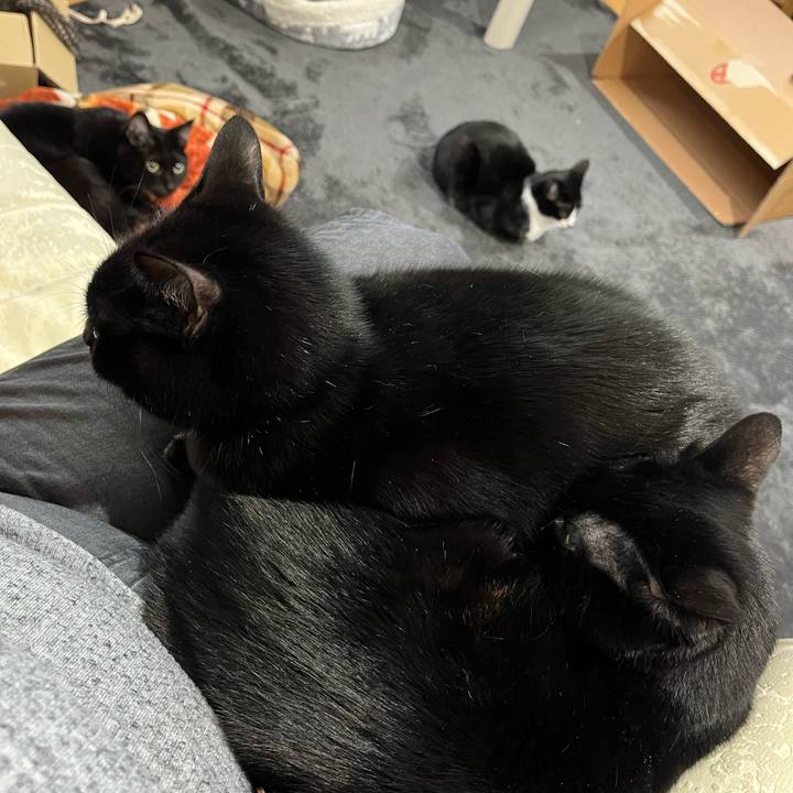 65ea9164 e33d 425a 9caf 1f189f871e1d 1644466242308