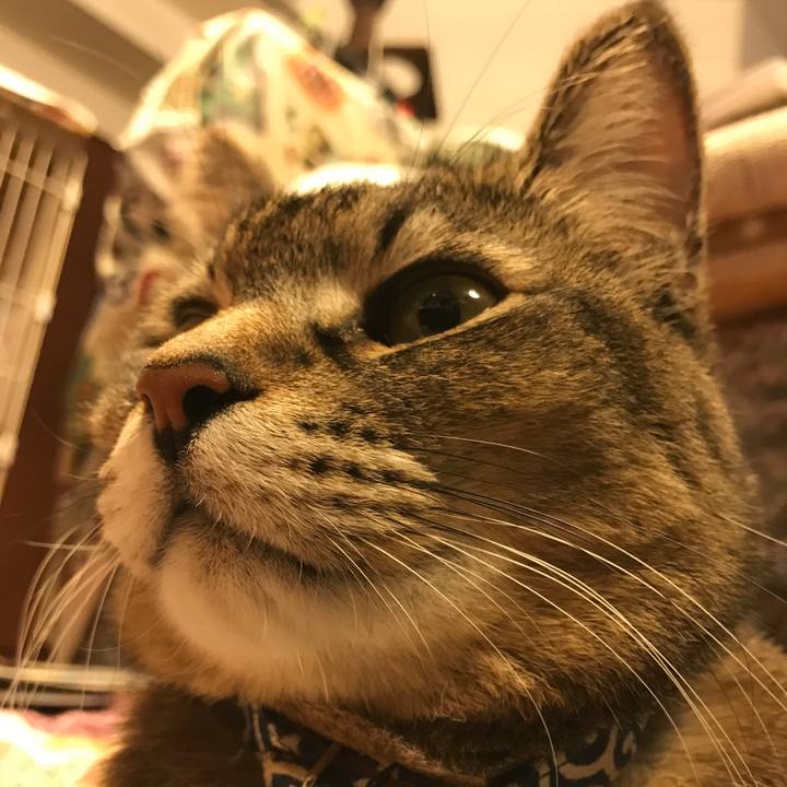 65eabfb2 9c60 4300 9893 e128ac435fe8 1552828451675