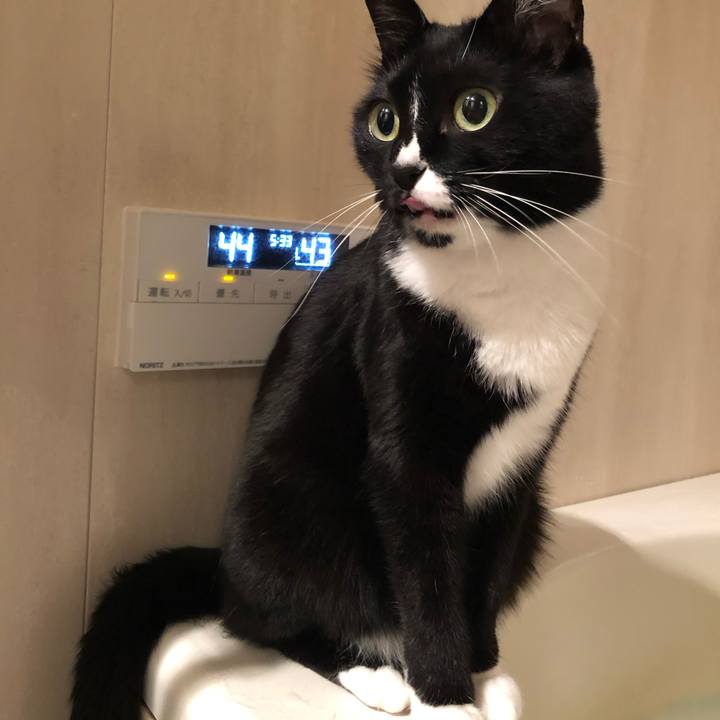 65eac9c6 2bd9 43b1 b3fb 15085d5c5af7 1551222419618