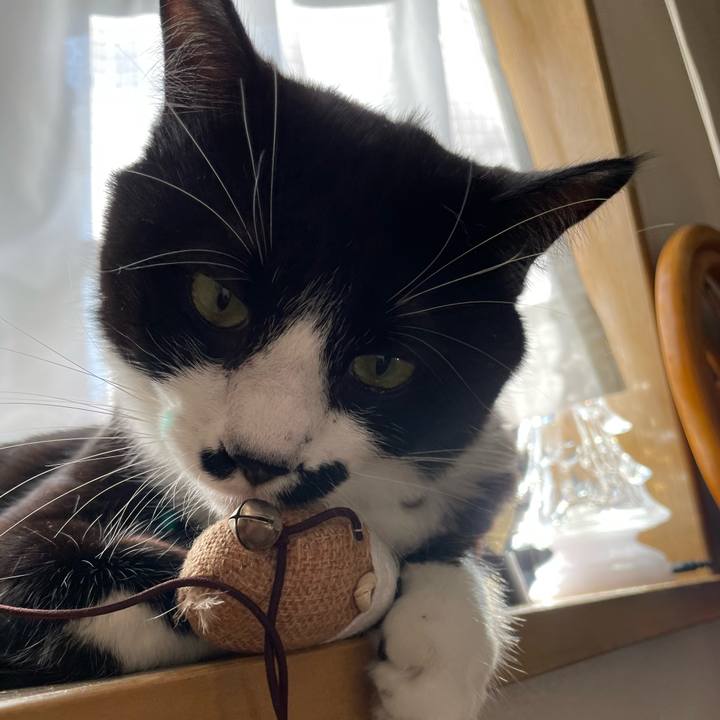 65eade13 6027 45a3 8068 bee45009942f 1670720826447