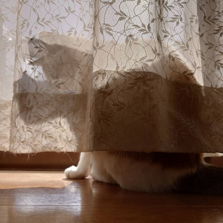 65eaf93e 581b 42a2 814b 97608f239eae 1731901840860