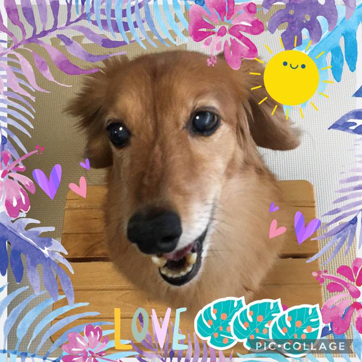 65eafd4d f75b 4e36 8247 4861e4f84d96 1625612778270