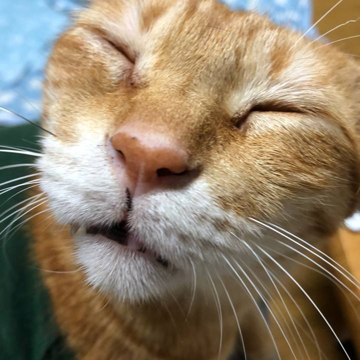 65eb10bd 8444 4b02 b5d2 51ed908f3e19 1631616237942