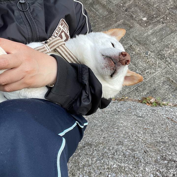 65eb2287 e01f 4f59 bc9c 60f1ff44127c 1648987281228