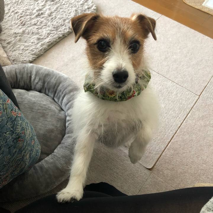 65eb27f9 f920 4b4a 9c86 934e948d2c8d 1698408476559