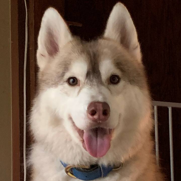 65eb3a3d 053b 42db b8ec 3d3615f23538 1597042100718