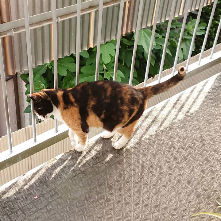 65eb41f7 cbbb 407a 9b67 46ffce9a0e93 1590362419172