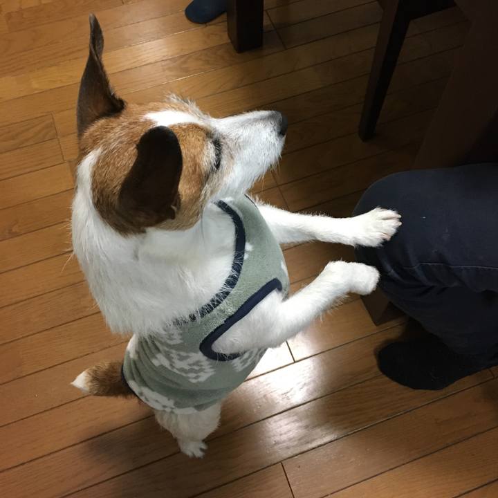 65eb6907 8cf4 46d4 9bbf 8f8019d0f684 1616109824870