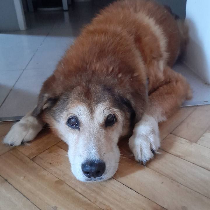 65eb8d87 c629 4301 ae87 9677ca58256d 1768437415609