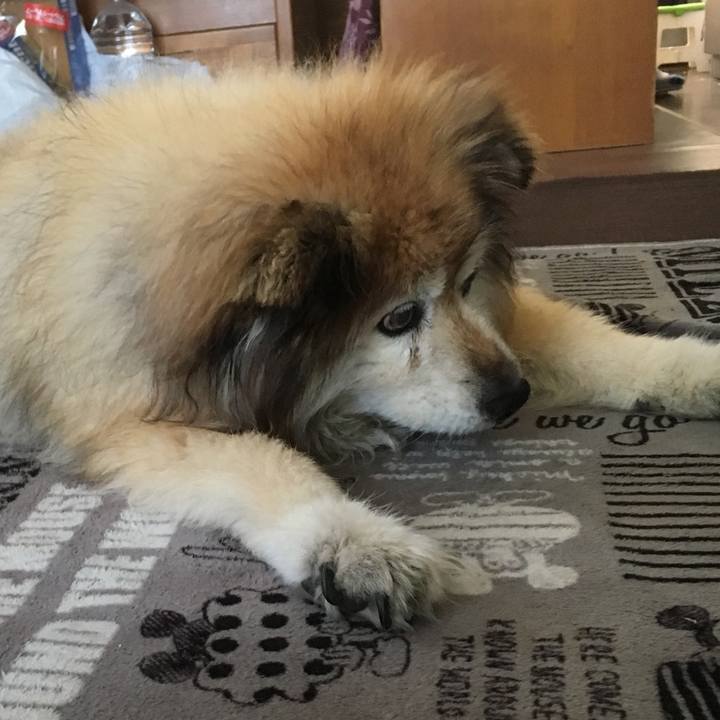 65eba9c2 88fd 4356 9789 33f7b552a347 1588253290615