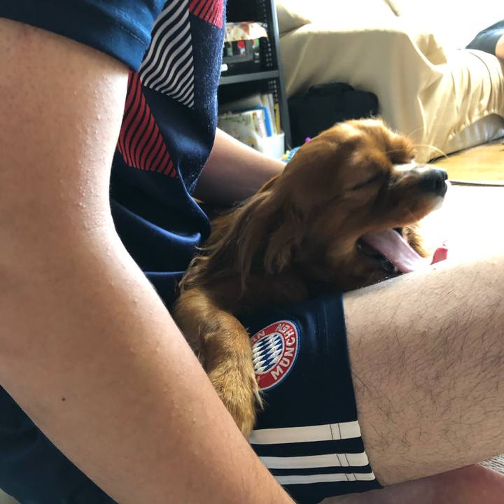 65ebdb4c 9219 4981 b513 c7d9c23cd77c 1569709507007