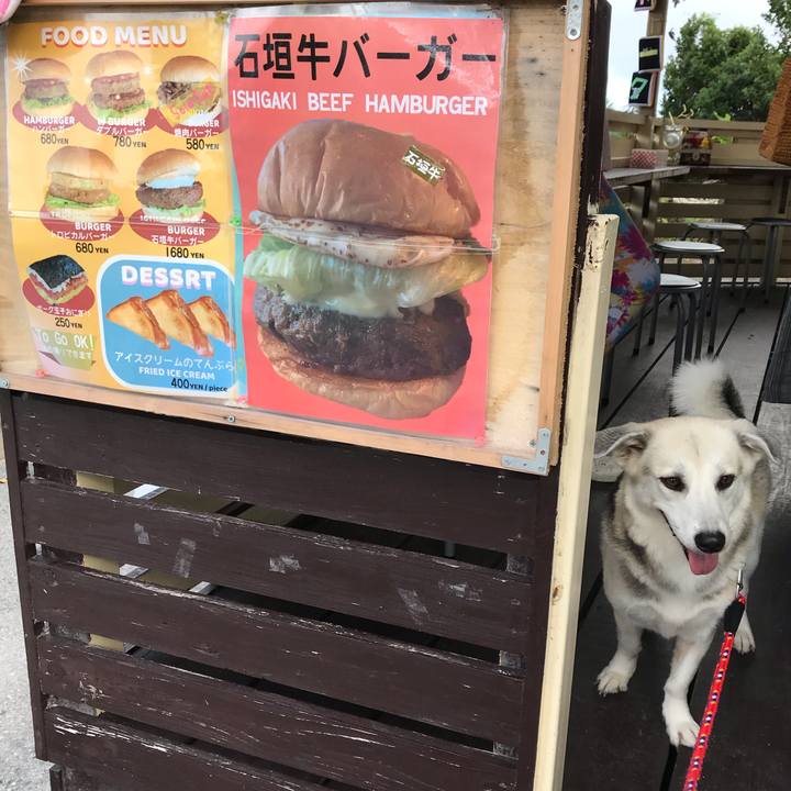 65ebf589 de03 4360 8add a619bf25e403 1574511007350