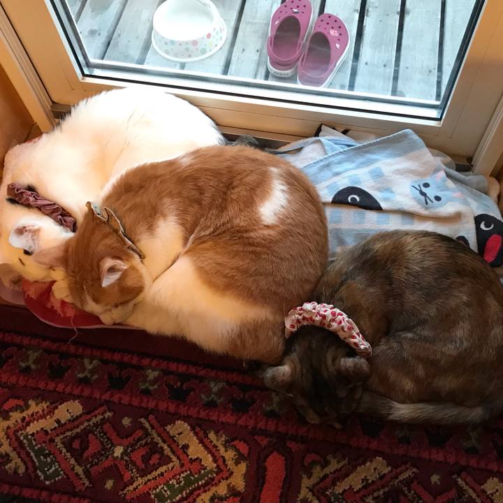 65ec1683 a4ec 4a3b 8cfb 6254867b60ce 1624310931188