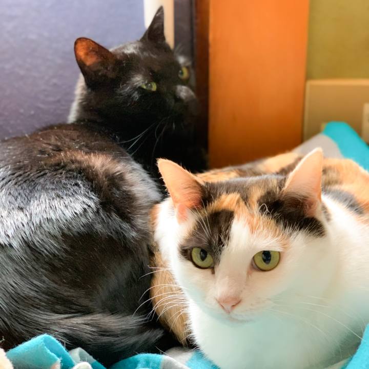 65ec3442 b58b 4e02 80dd b60aee76b015 1580955313000