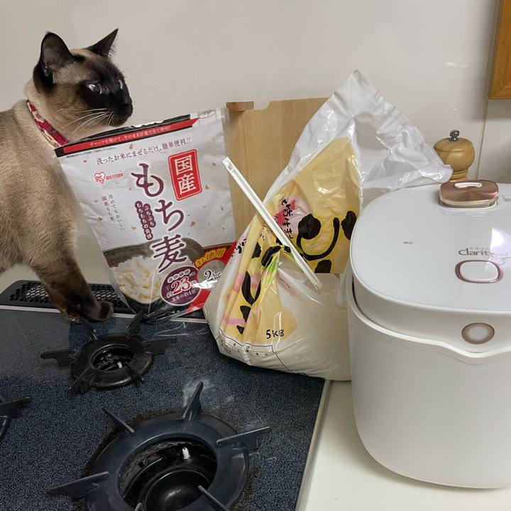 65ec3ad1 d838 44e3 8337 80f0498d05dd 1770151082997