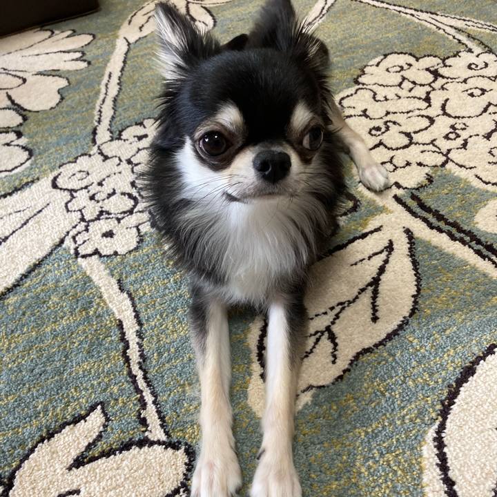 65ec3bdc 6b57 453d 8cd5 ae8786f9caf8 1622358732666