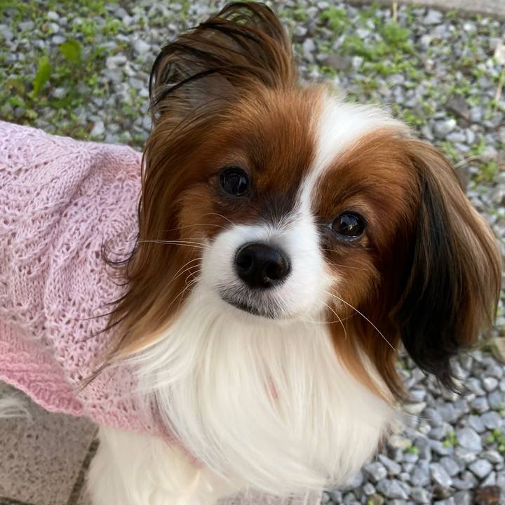 65ec4dc4 4f60 4e72 a15c 19bbfa1aa605 1634109023443