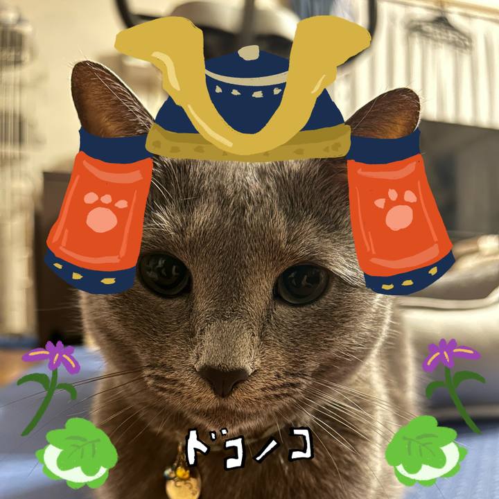 65ec6505 353e 46b3 87f5 4712dc1fee1b 1714900046328