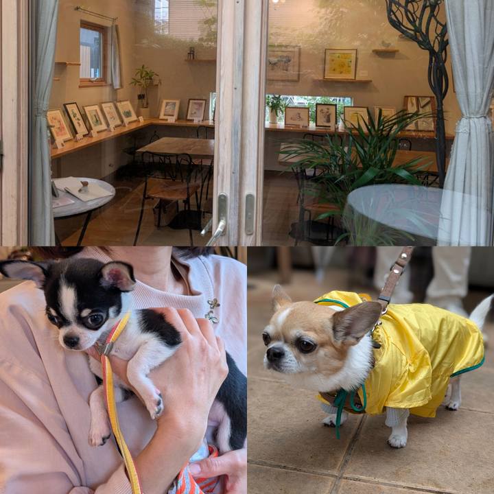 65ec7059 be05 442c b2fd 13dc3b88642d 1748603687826