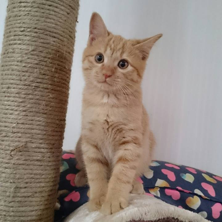 65ec79b2 606d 43d3 a314 ef1dd85a7de0 1541715718179