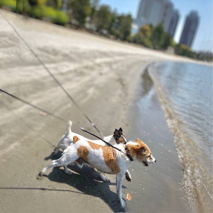 65eca63b 647d 442b 86f6 9efab7e8c3aa 1649985202582